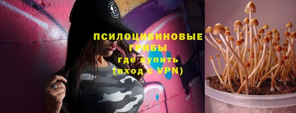 сатива Аркадак