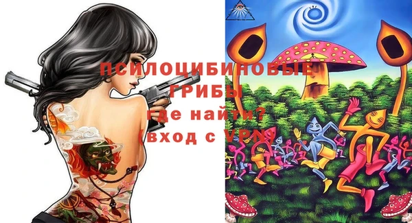 сатива Аркадак
