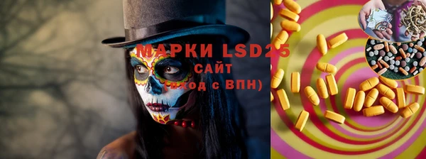 сатива Аркадак