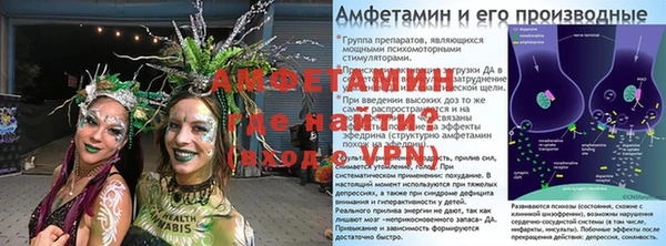сатива Аркадак
