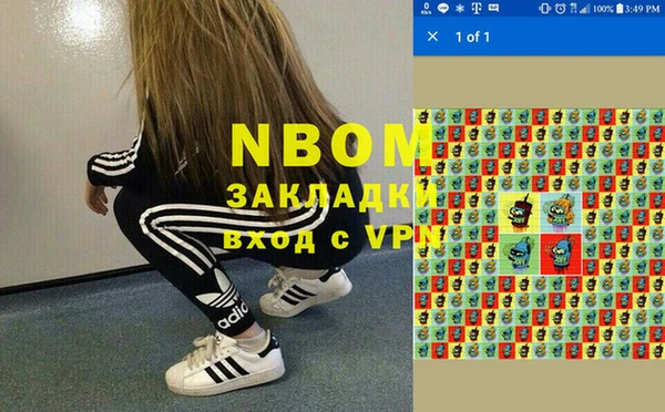 сатива Ленск