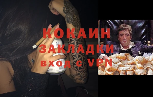 индика Алексин