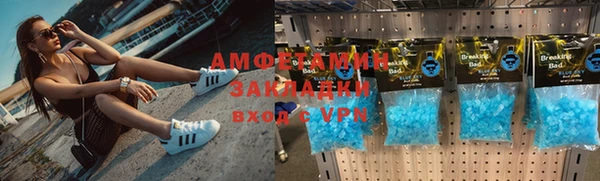 сатива Аркадак